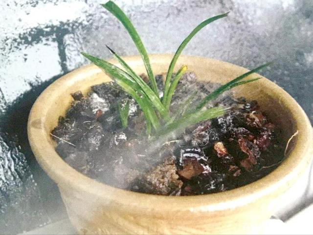 夏季蚊子增多怎么回事？